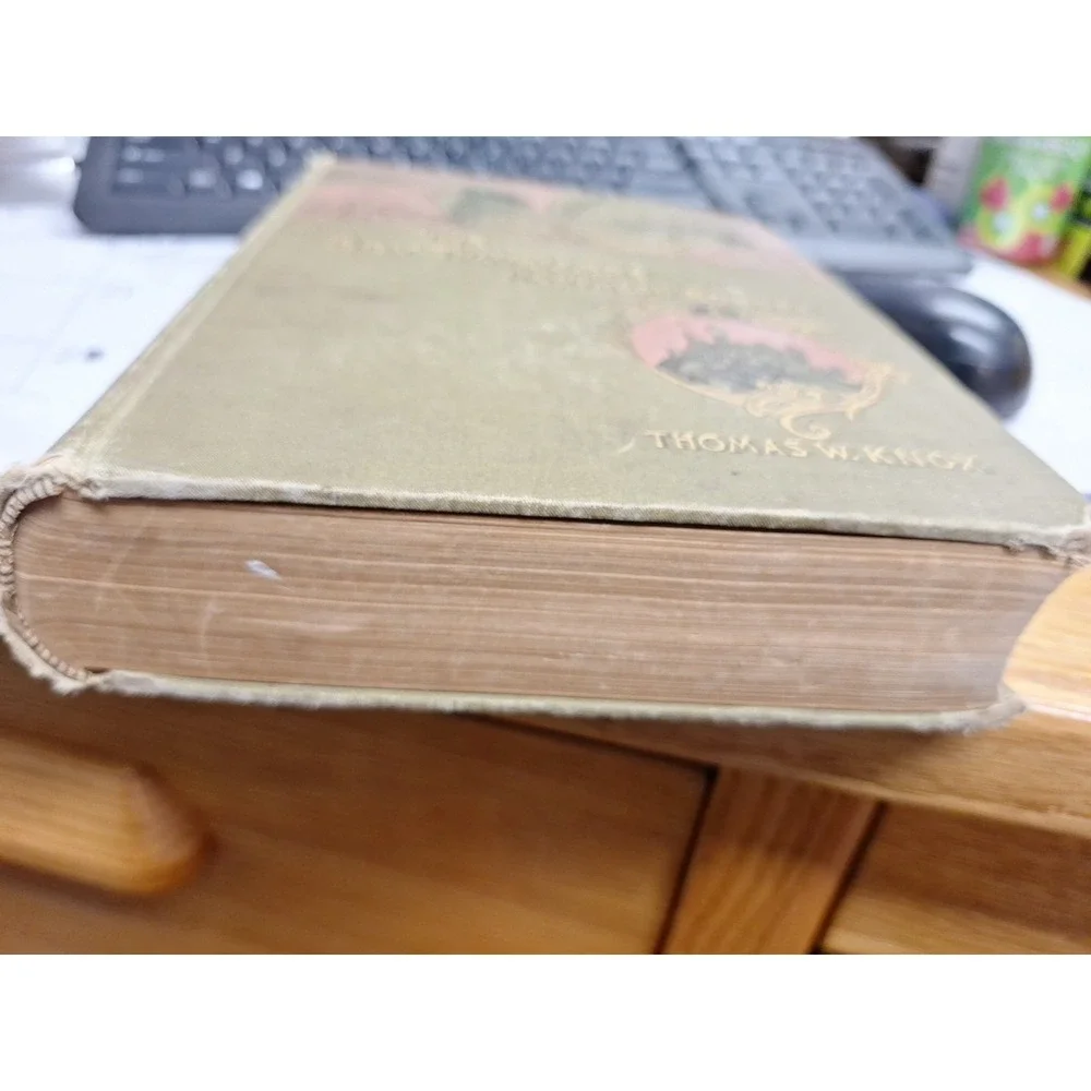 Thomas W. Knox THE BOY TRAVELLERS IN NORTHERN EUROPE Adventures of Two Youths in
